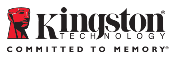 Kingston SSD Data Recovery Jobs