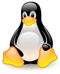 Linux Data Recovery